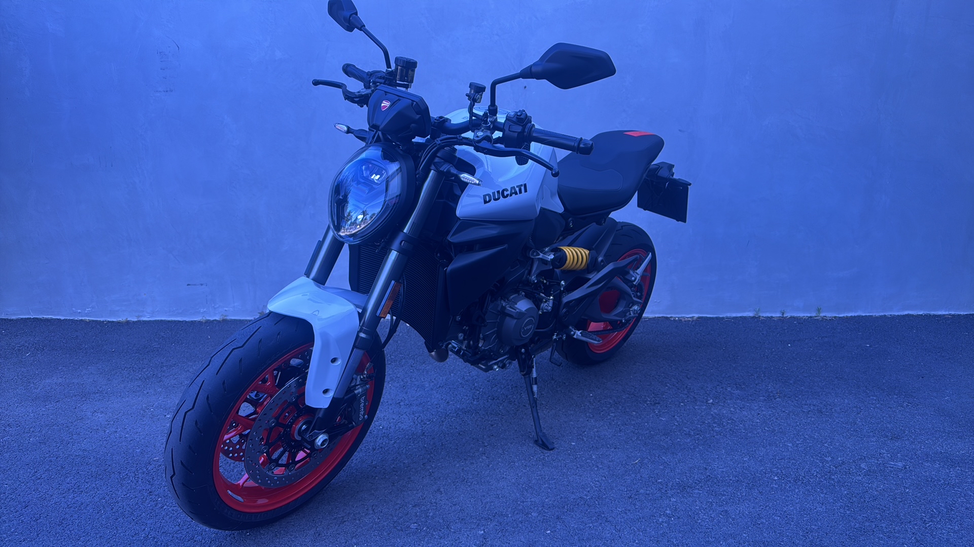 DUCATI Monster