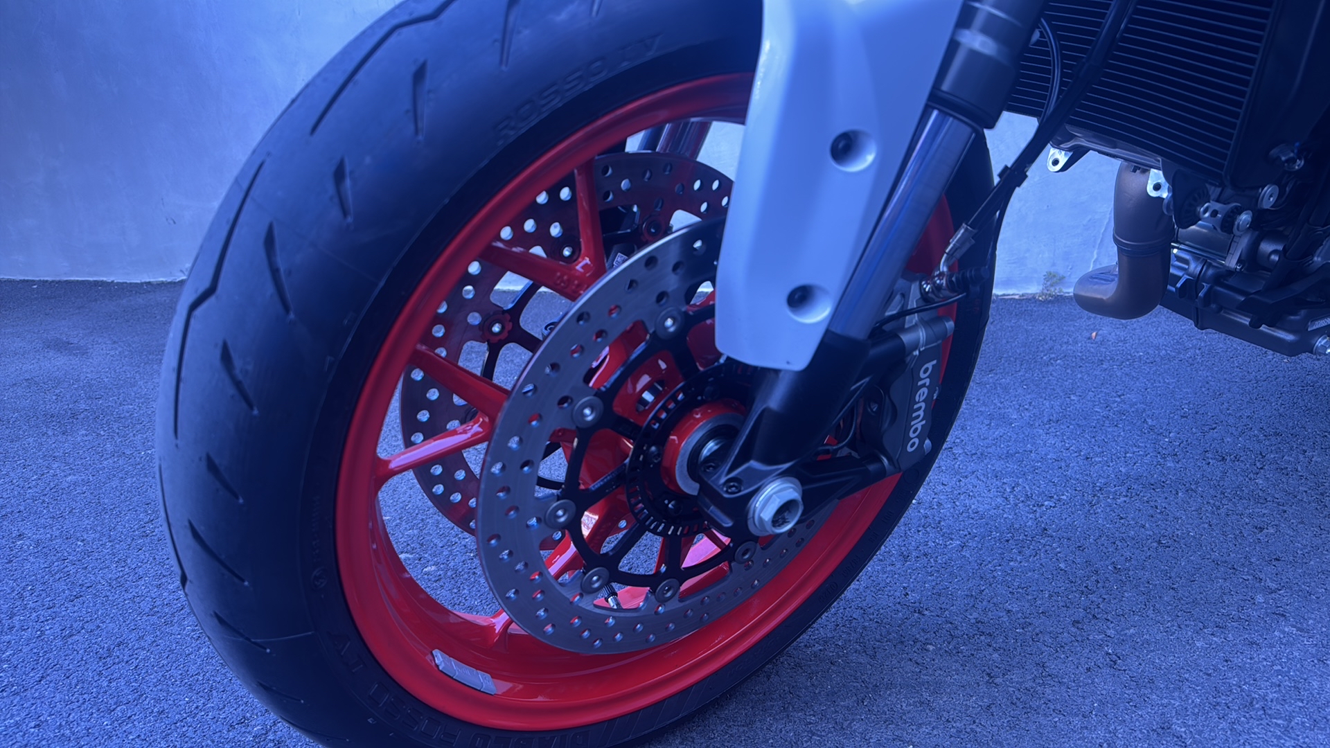 DUCATI Monster