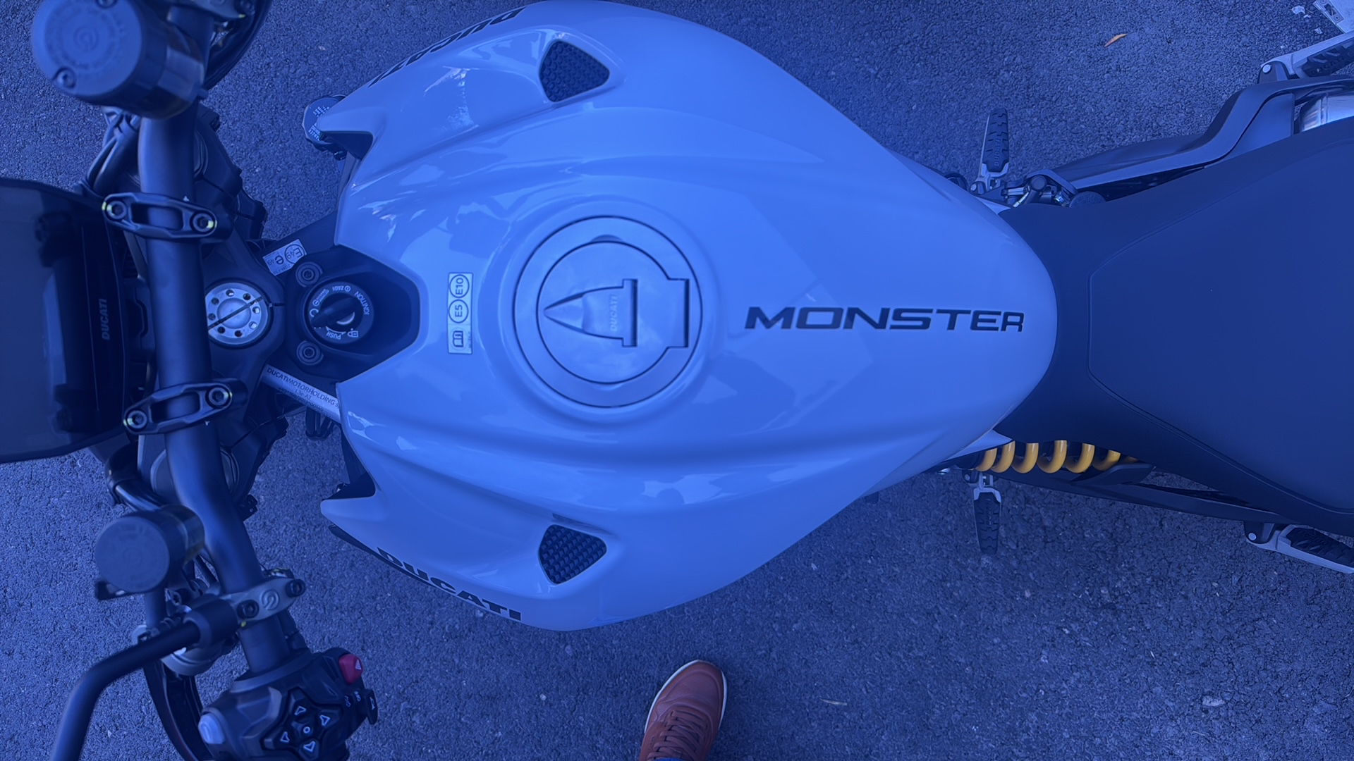 DUCATI Monster