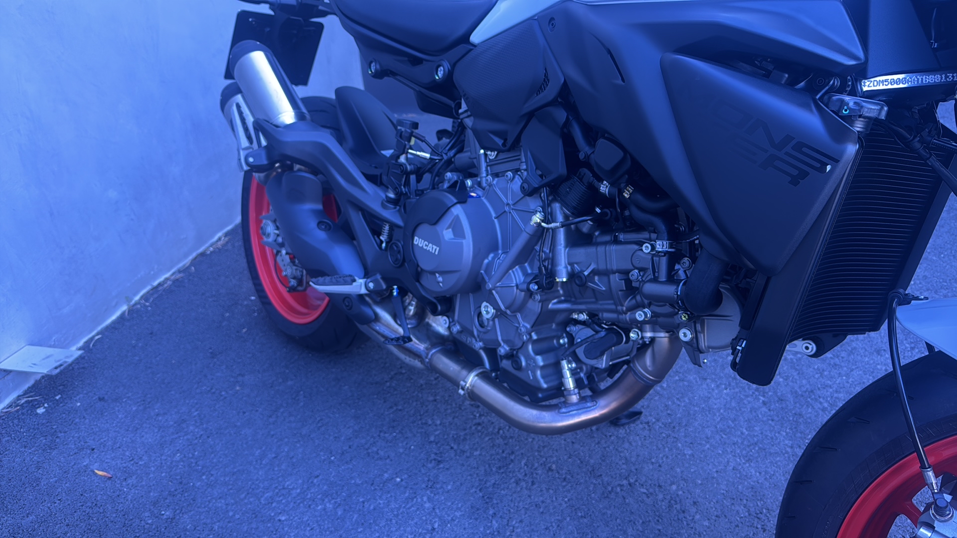DUCATI Monster