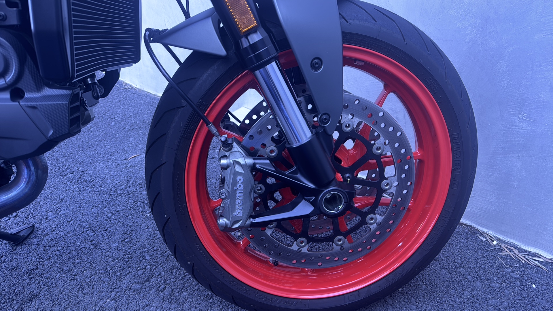 DUCATI Monster 