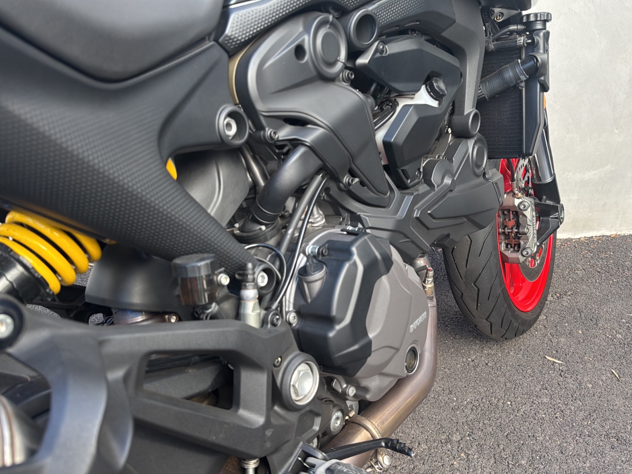 DUCATI Monster 