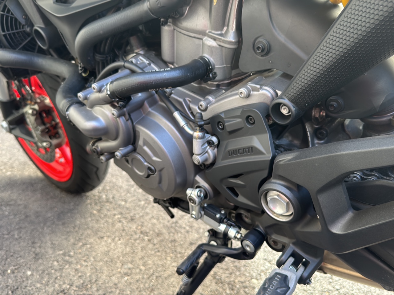 DUCATI Monster 