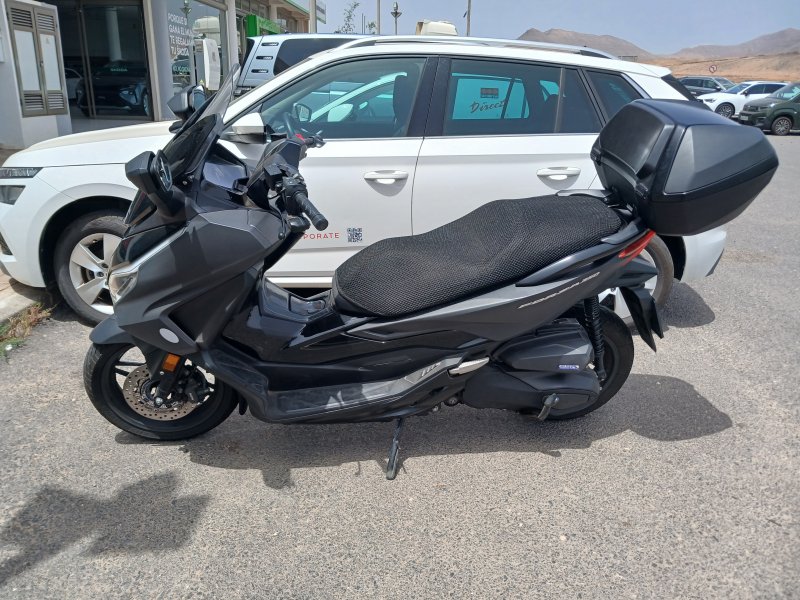 HONDA MOTOS Forza 350 MY24