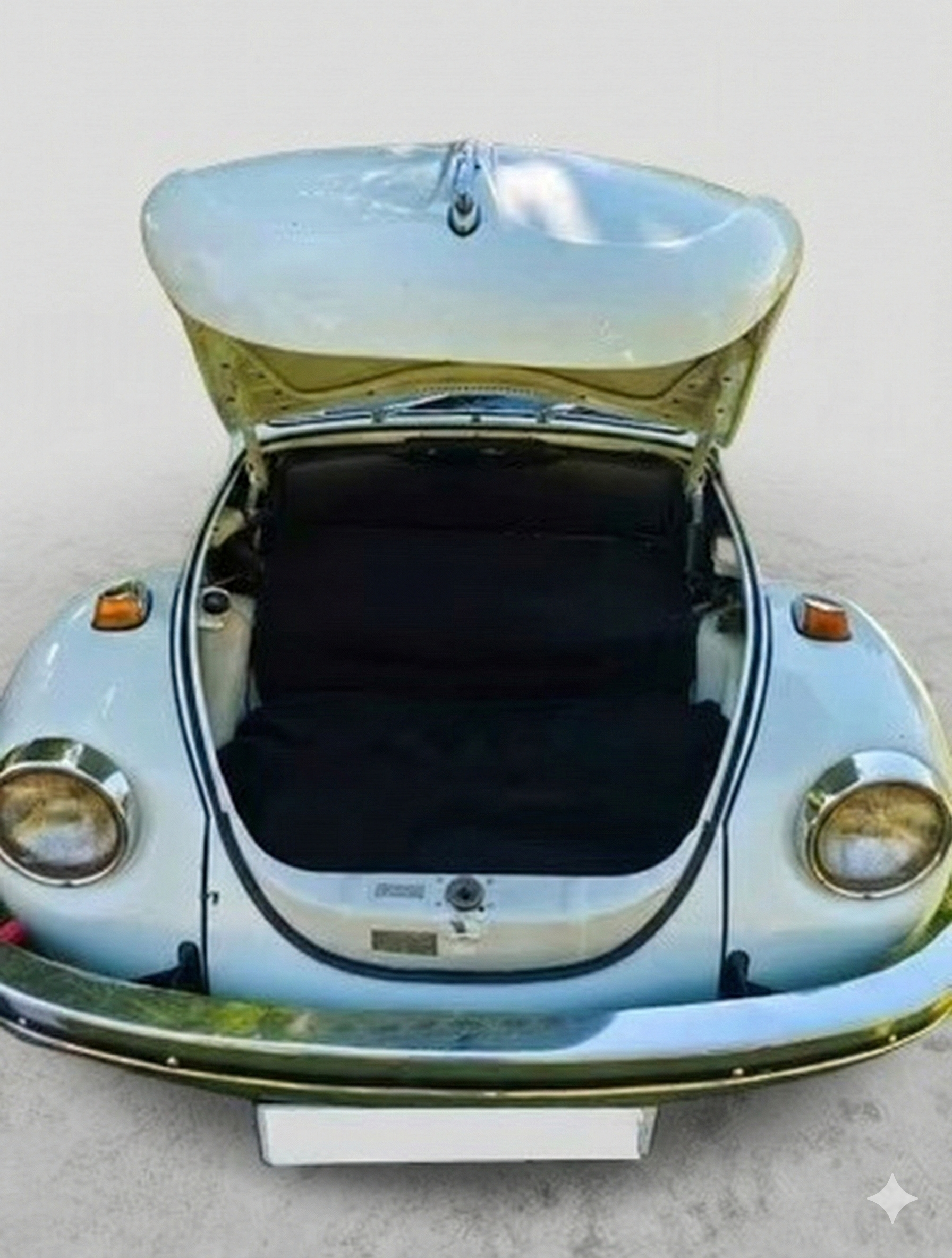 VOLKSWAGEN Beetle